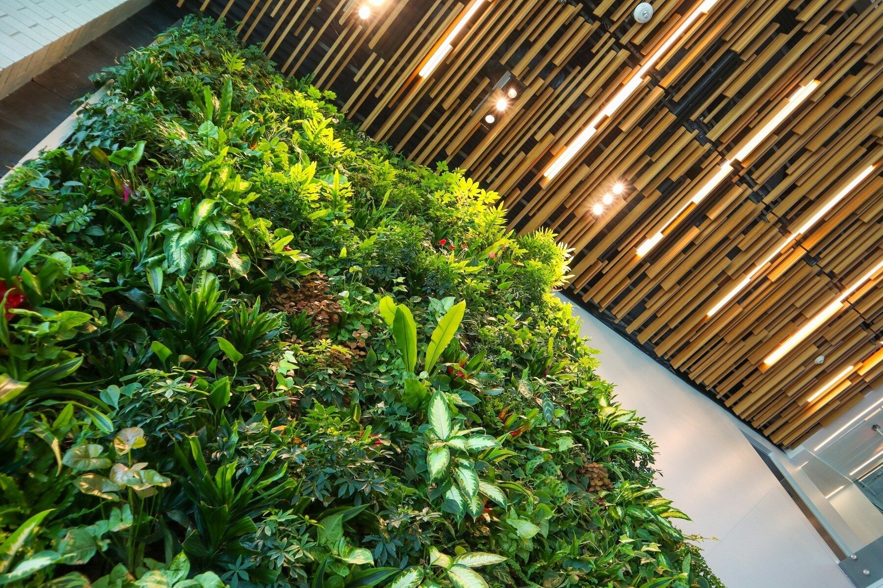 Groene plantenmuur in een lobby met houten plafond