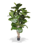 Lyrata deluxe kunstboom 170cm