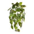 Pothos kunst hangplant deluxe 70cm - bont