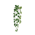 Philodendron Kunsthanger 85cm
