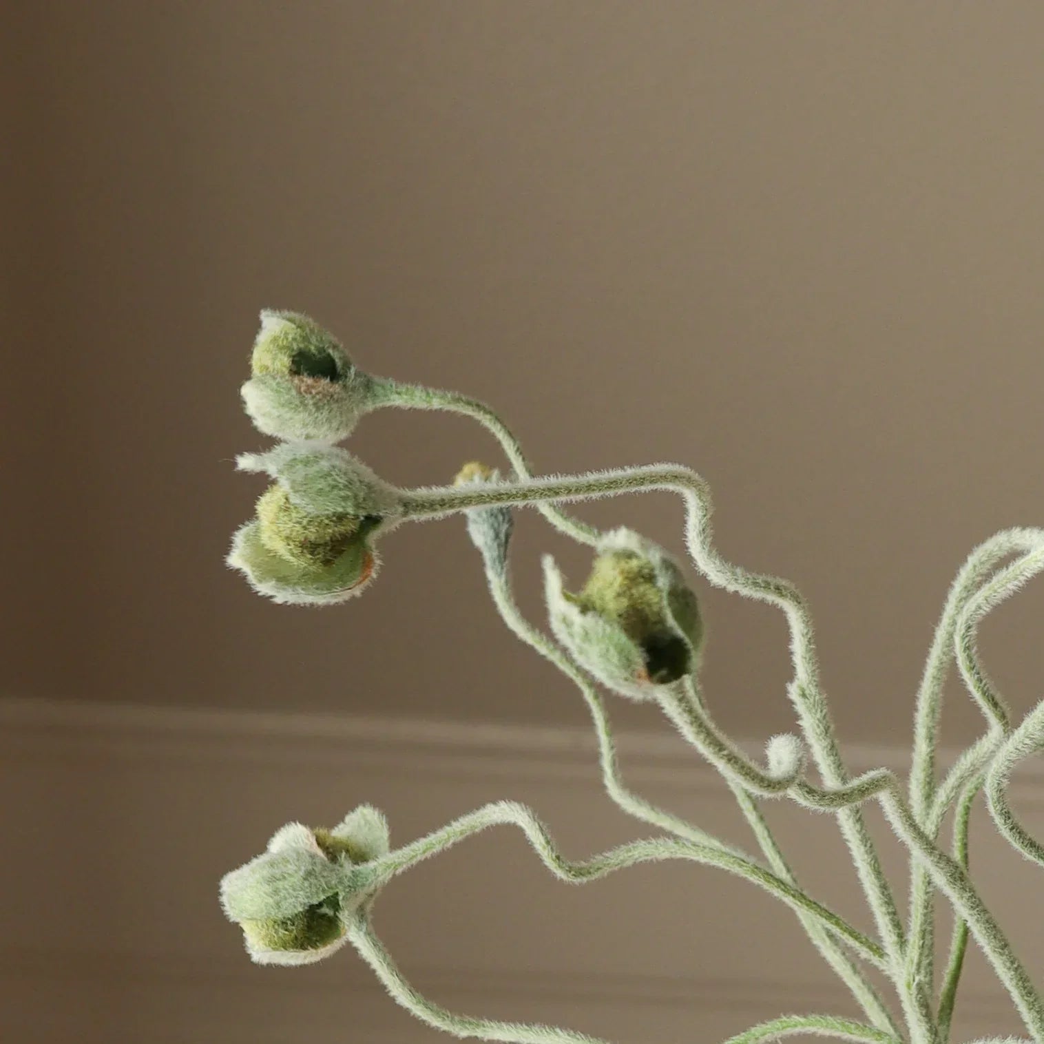 Poppy Bud Bouquet