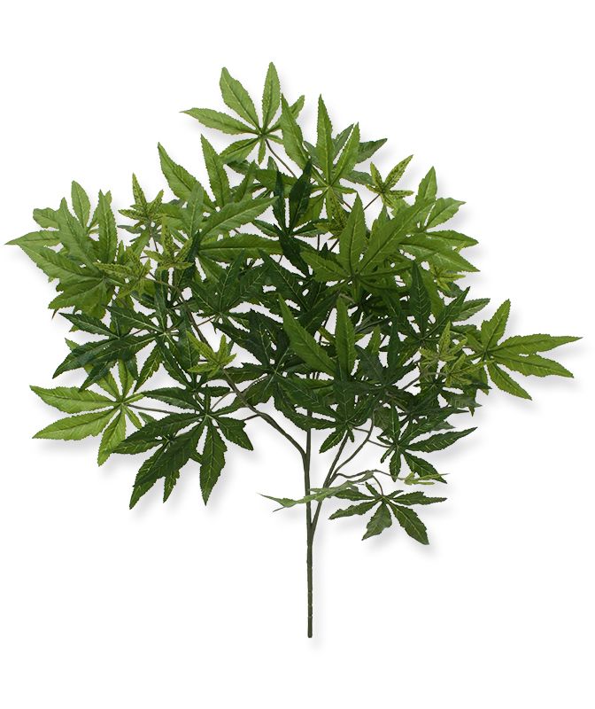Acer Maple kunsttak x57