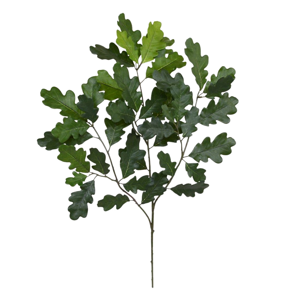 Eiken Kunsttak 65 cm