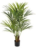 Natural Kentia Palm De Luxe (FR) 140 cm