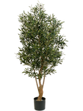 Natural Twisted Olive Tree (FR) 180 cm