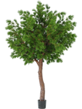 Pinus Tree (FR) 300 cm