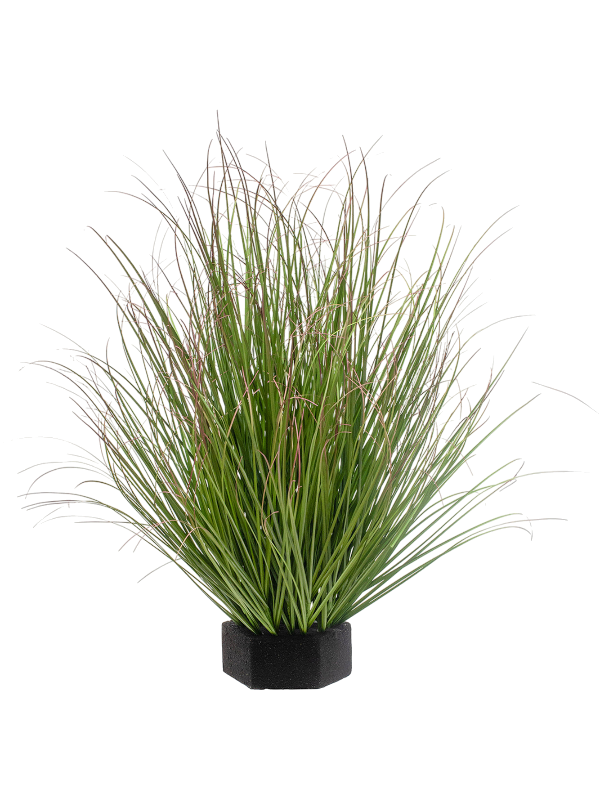 Grass Green Red Tip (FR) 50 cm
