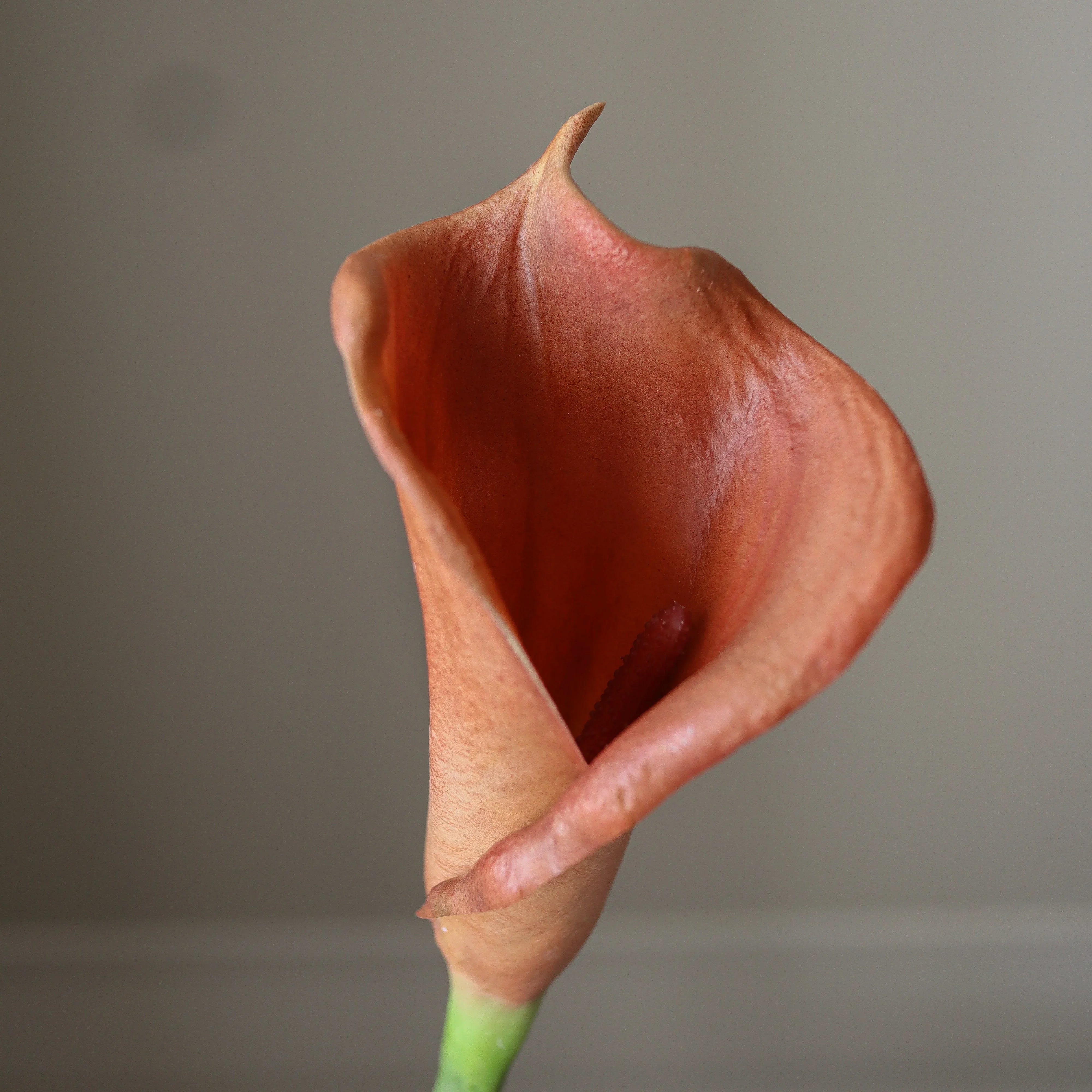 Brown Calla Lily Bouquet - kunstbloemen boeket in interieur setting