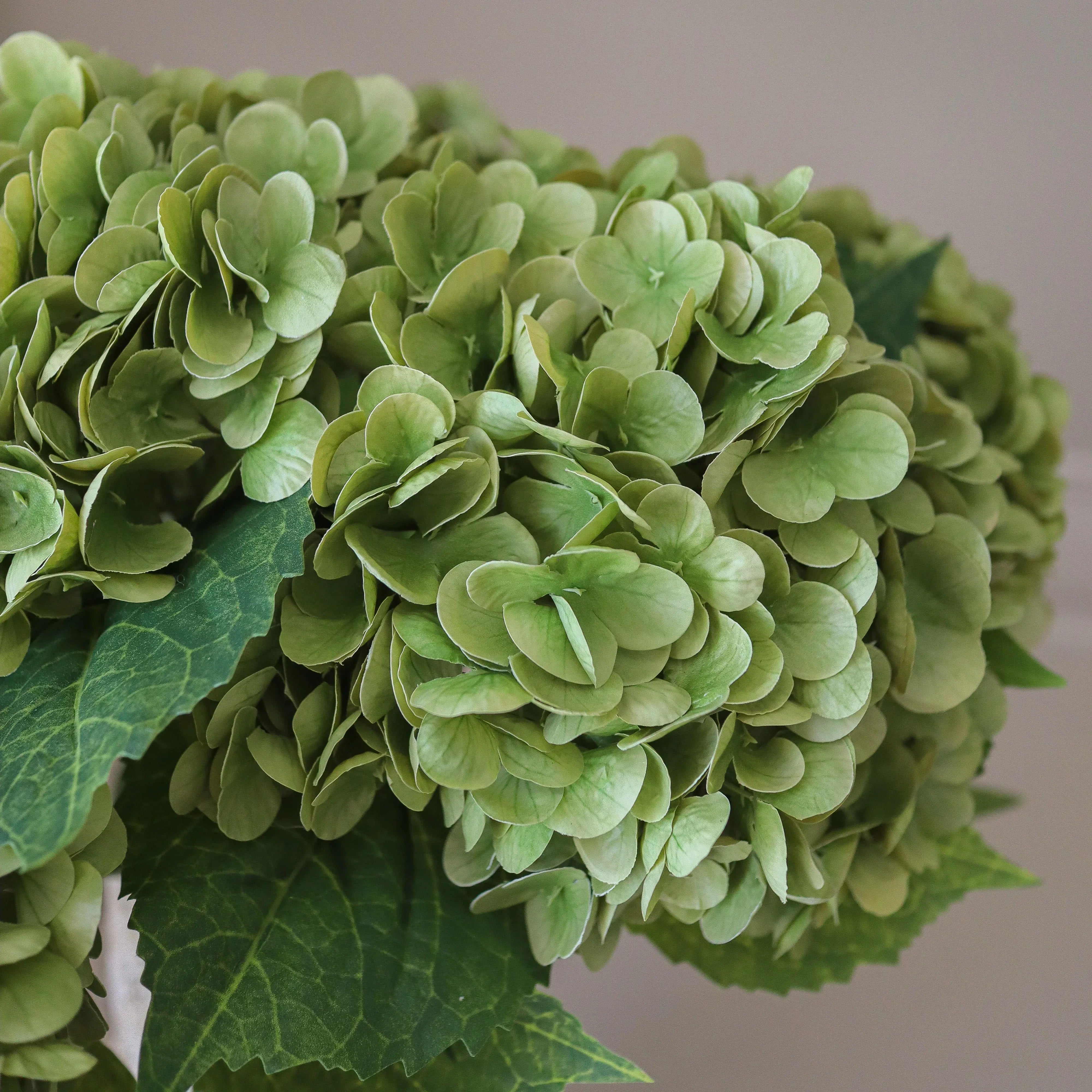 Moss Green Hydrangea Bouquet Met Large Earth