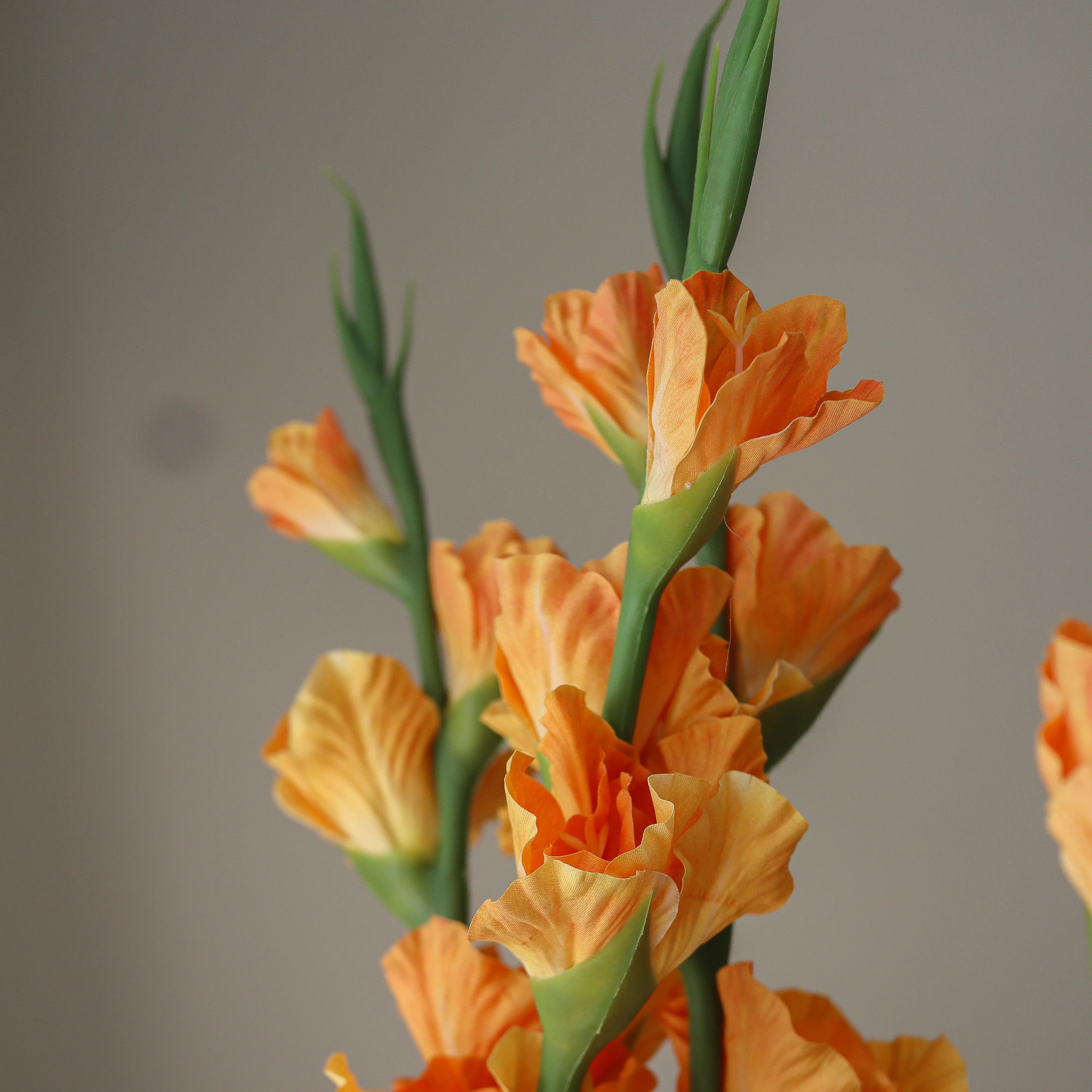 Gladiolus Flower Bouquet - kunstbloemen boeket in interieur setting