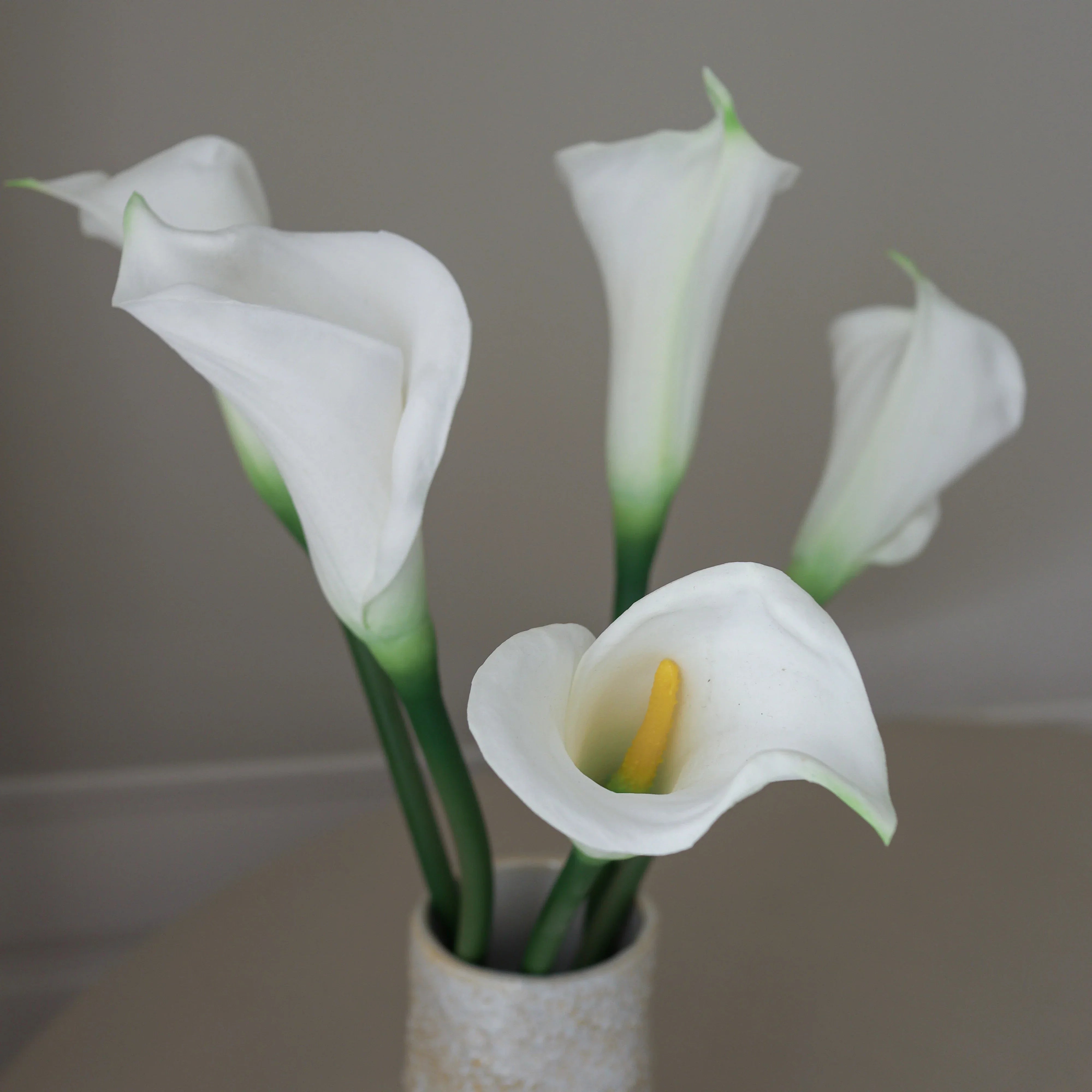 Pure Calla Met Small Earth