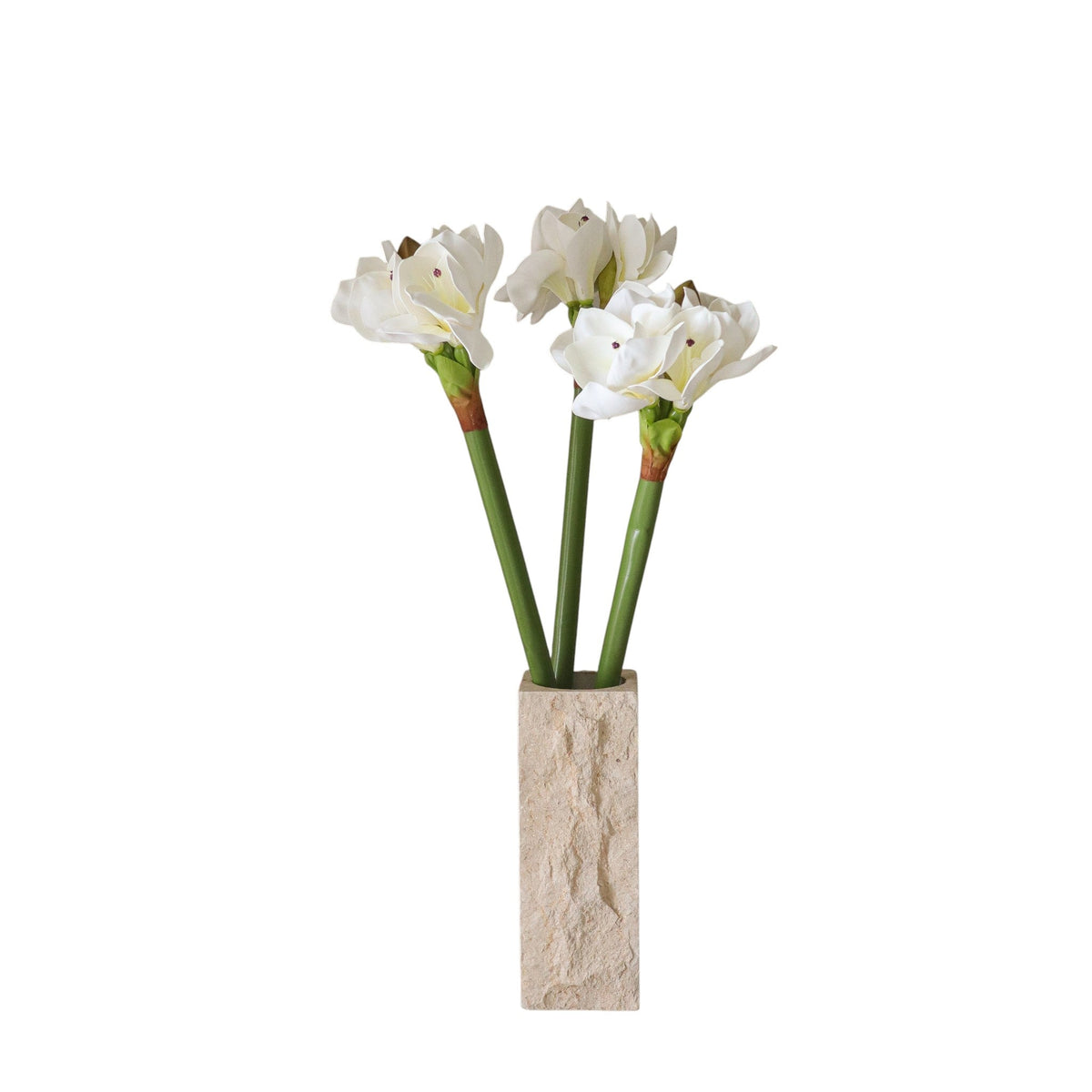 White Amaryllis Bouquet