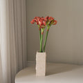 Burnt Red Amaryllis Bouquet