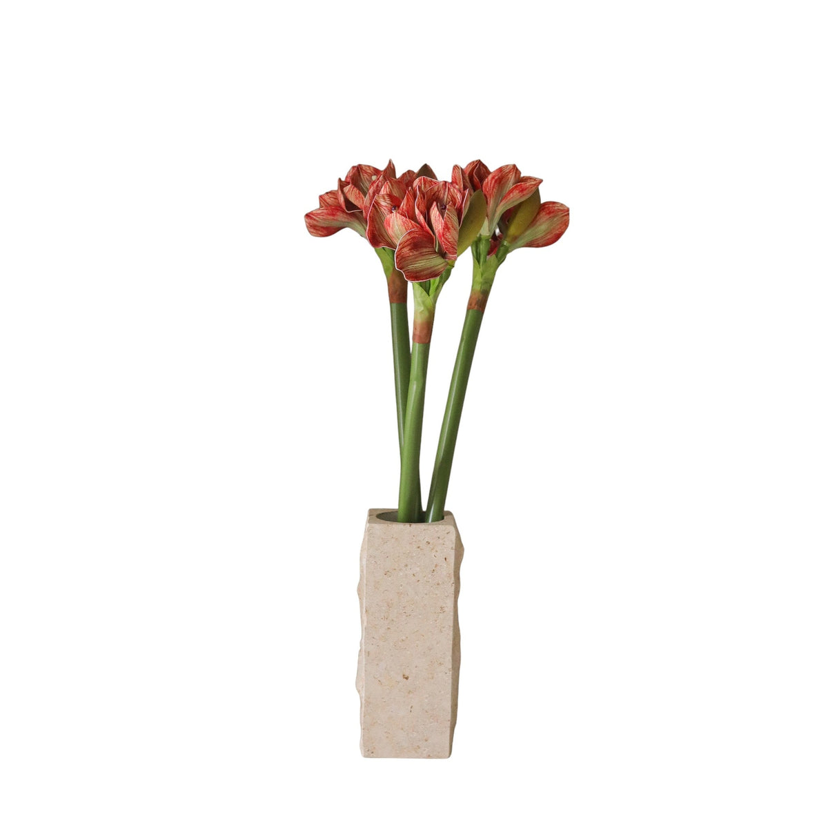 Burnt Red Amaryllis Bouquet