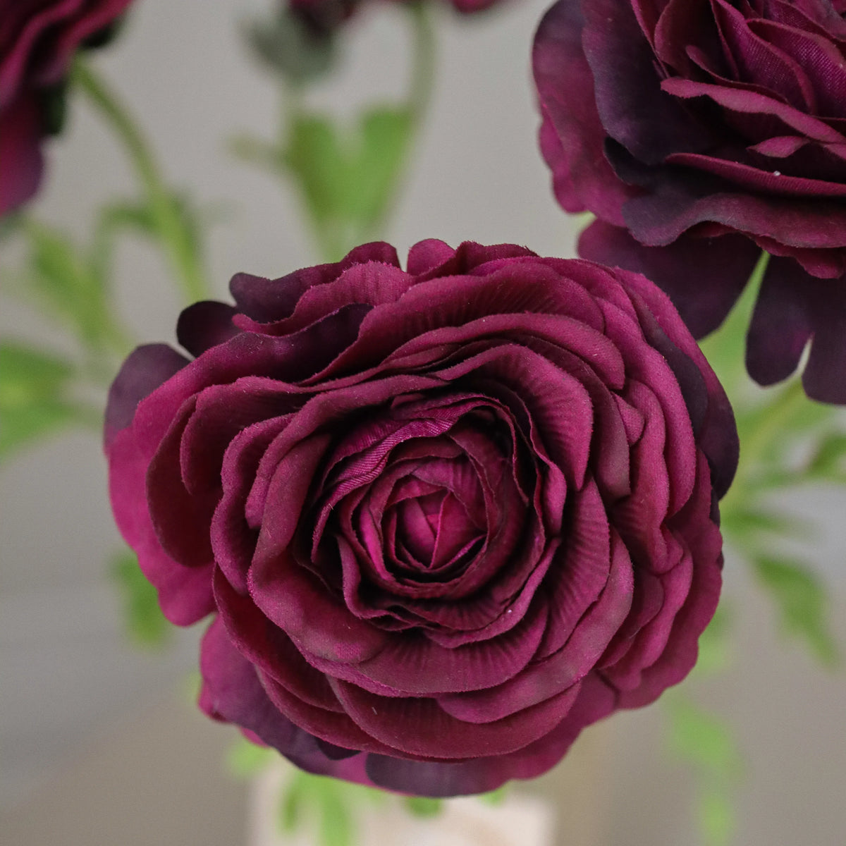 Burgundy Ranunculus Bouquet