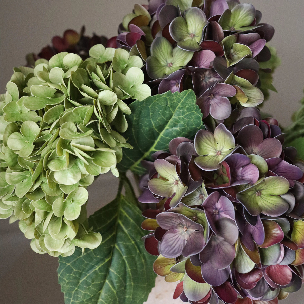 Olive Shadow