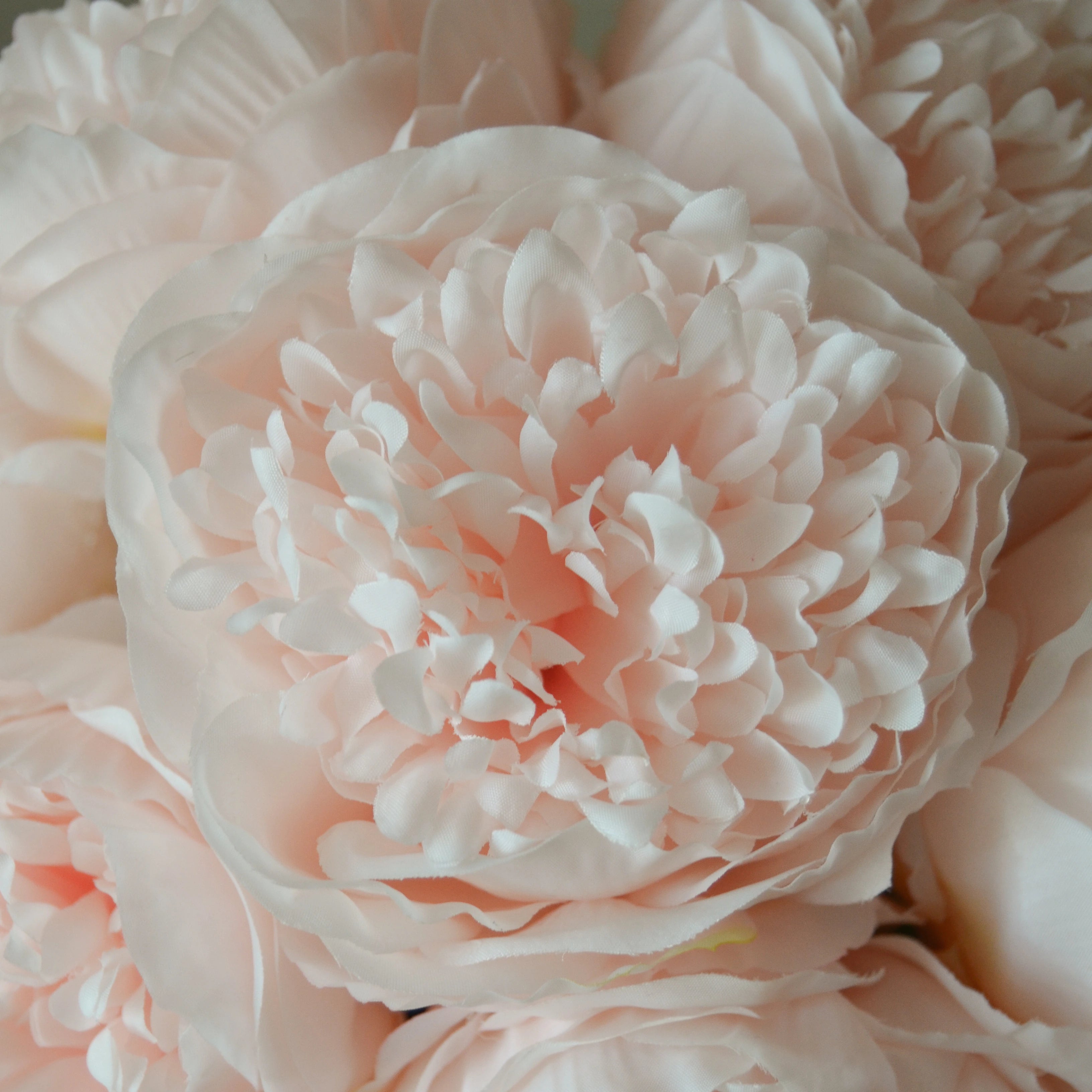Light Pink Mini Peony Bouquet met vaas