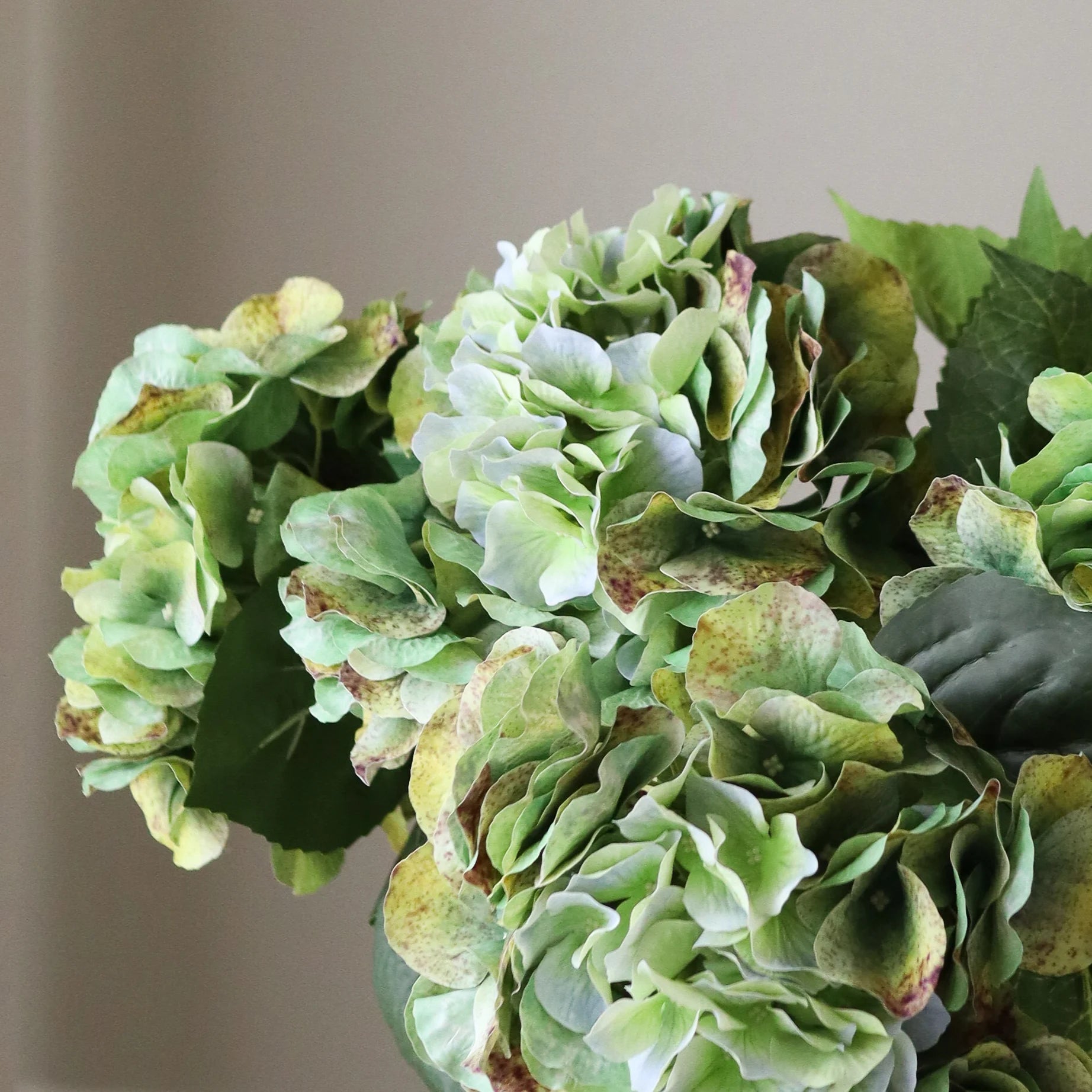 Olive Green Hydrangea Bouquet — kunstbloemen boeket van Botane, detailfoto 2