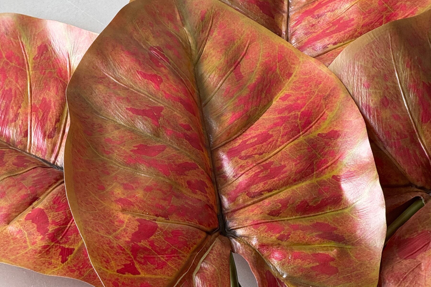 Close-up van een blad van een zijden arrangement met zichtbare nervatuur