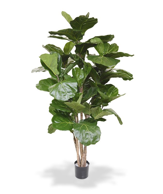 Lyrata deluxe kunstboom 170cm