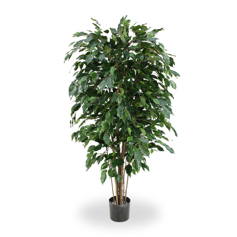 Ficus Exotica deluxe kunstplant 150cm - groen