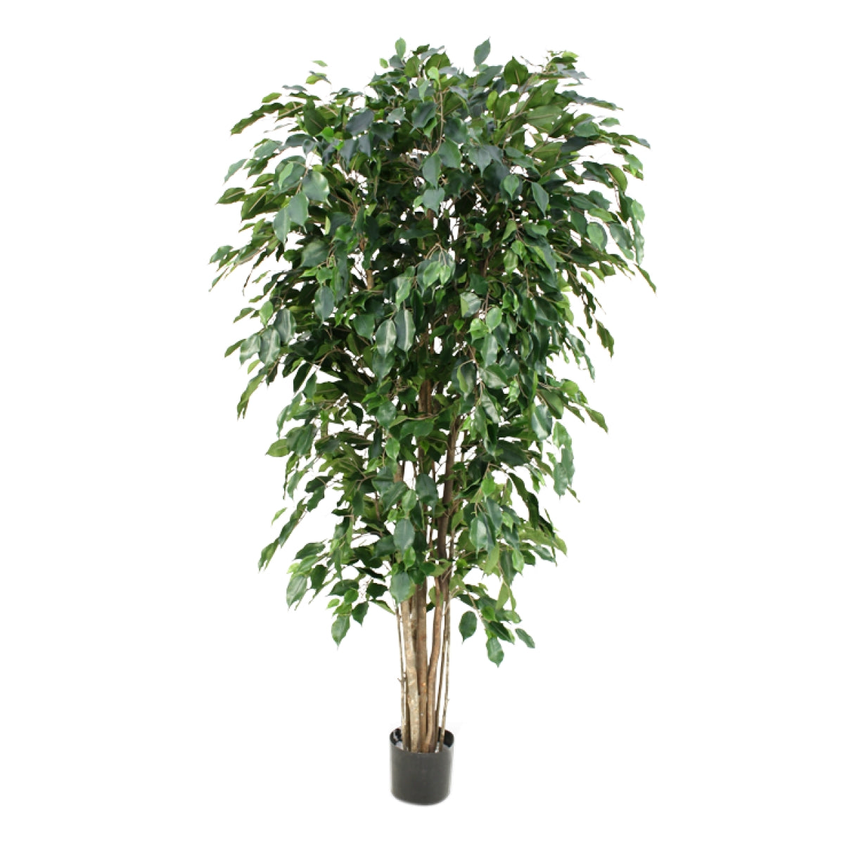 Ficus Exotica deluxe kunstplant 180cm - groen
