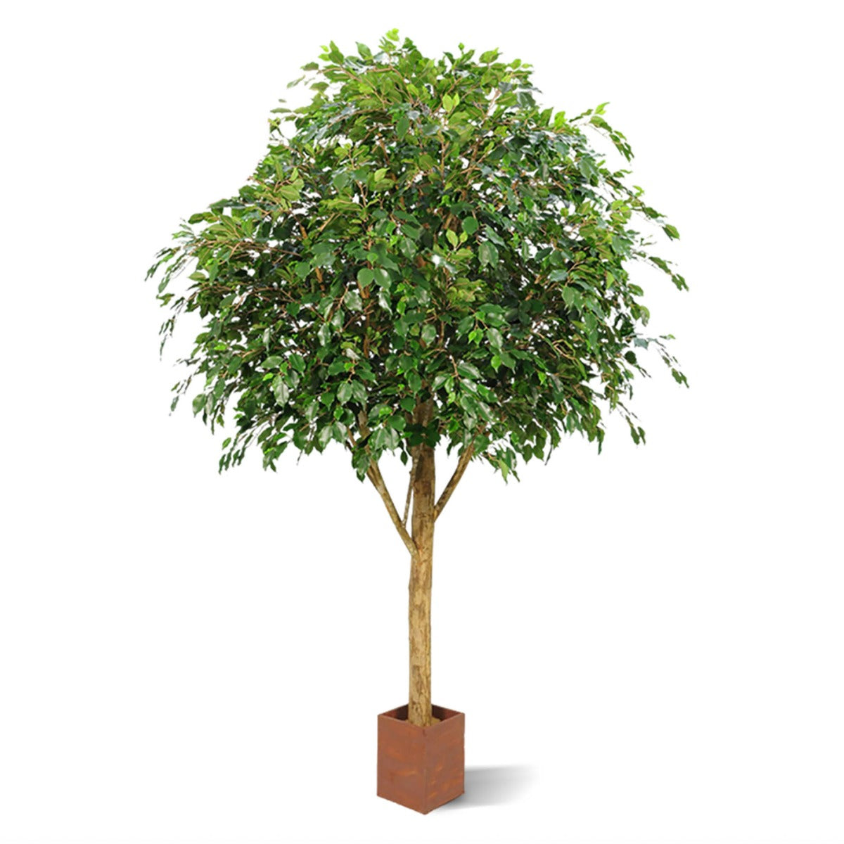 Ficus Exotica Giant kunstboom 290cm