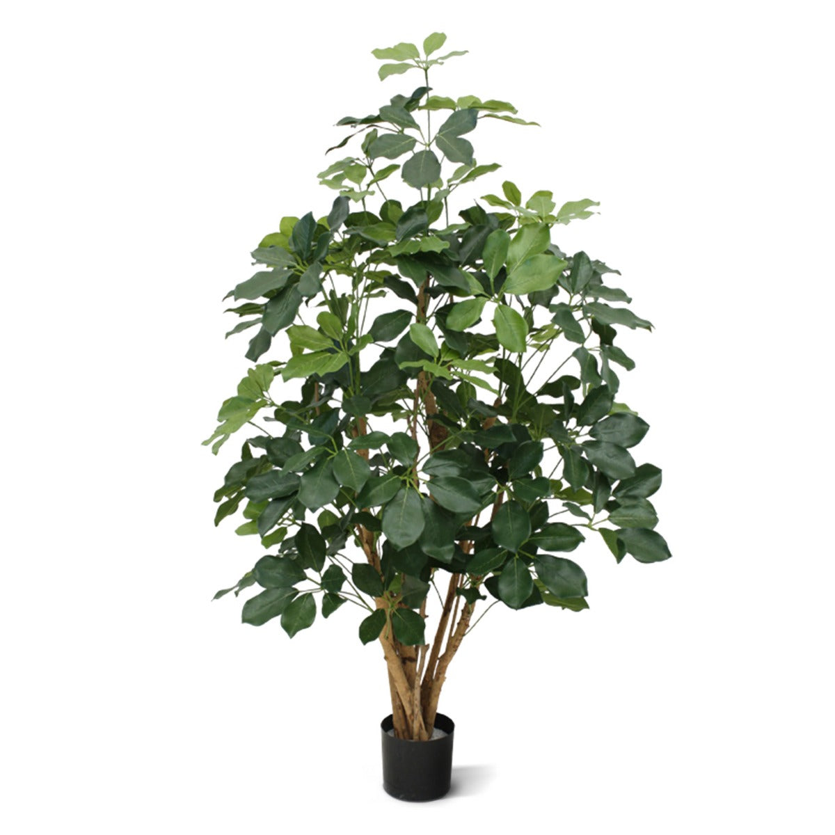 Schefflera Exotica kunstplant 120cm