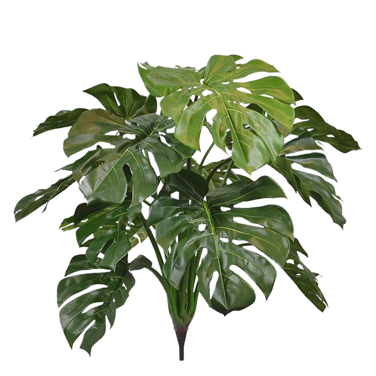 Monstera deluxe kunstplant 75cm