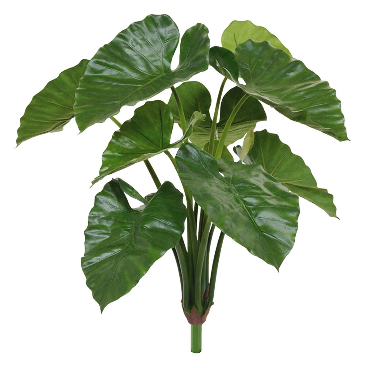 Alocasia Calidora kunstplant 70cm