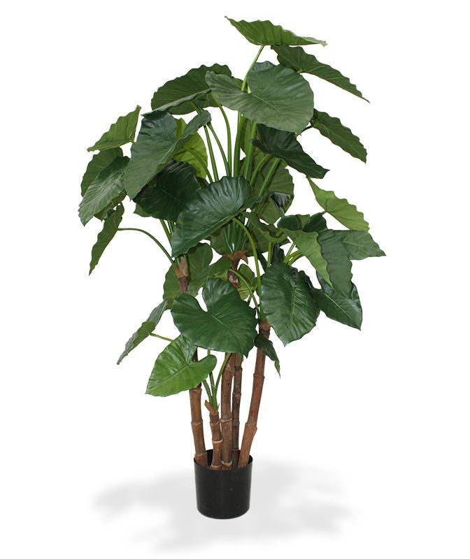 Alocasia Calidora deluxe kunstplant 165cm