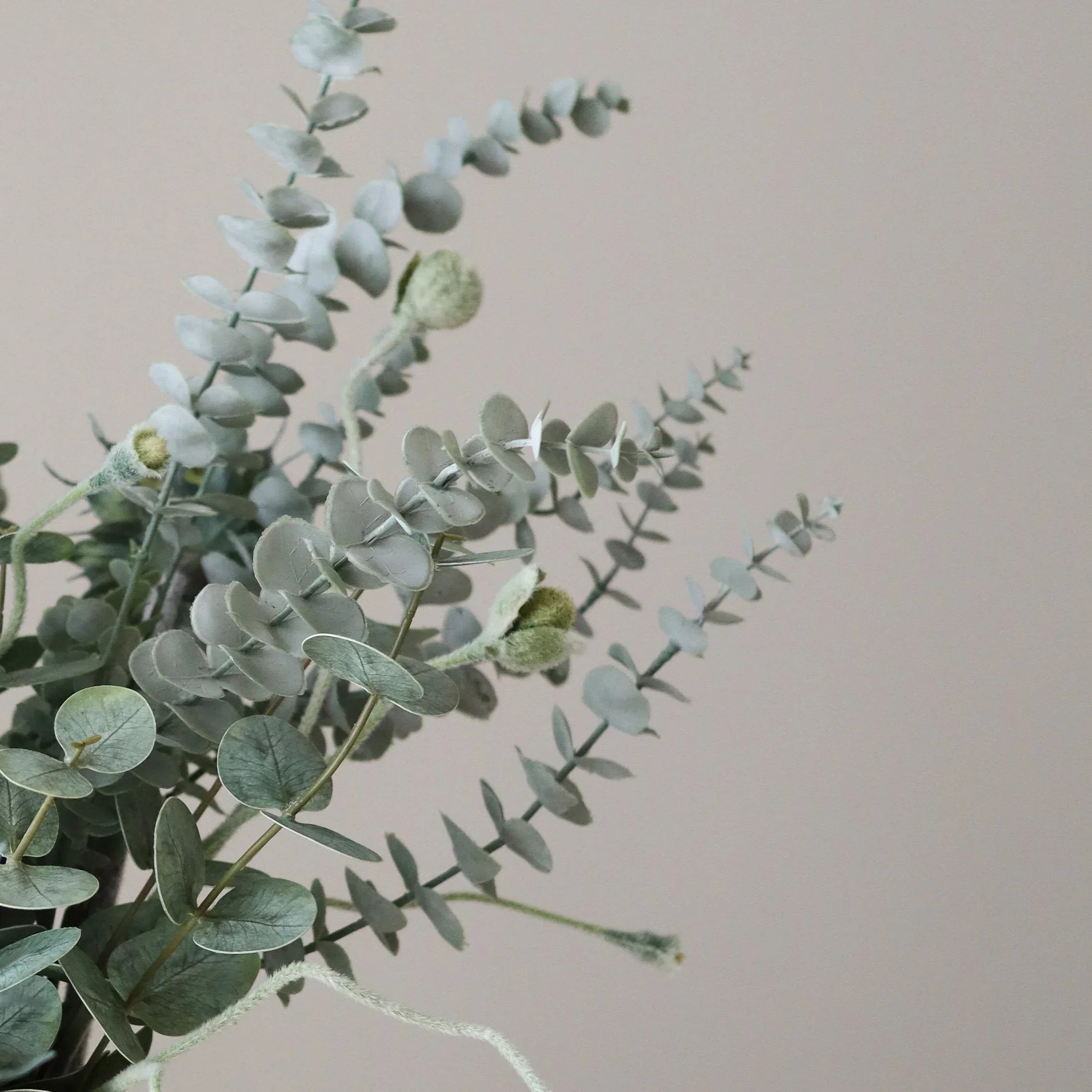 Soft Ash — kunstbloemen boeket van Botane, detailfoto 2