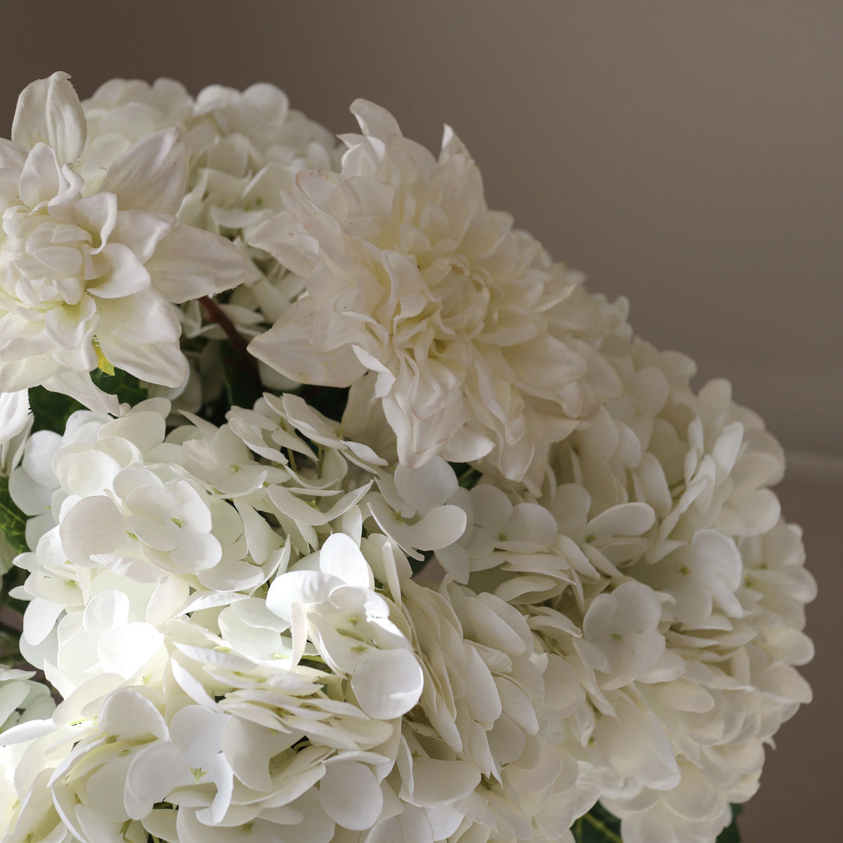 White Volume