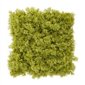 Rendier kunst Mosmat 25x25cm - groen