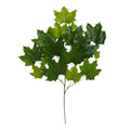 Maple Kunsttak 70 cm