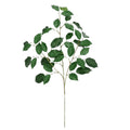 Ficus Kunsttak 77cm Groen