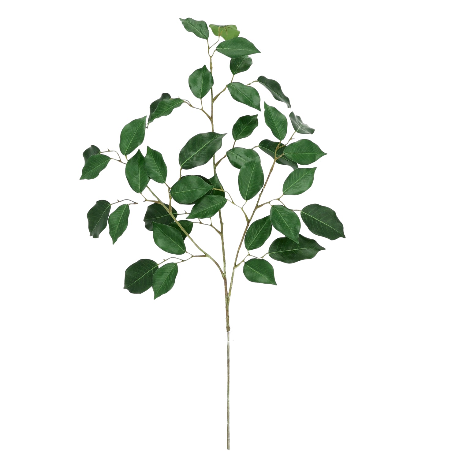 Ficus Kunsttak 77cm Groen