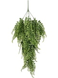 Adianthum Hanging Bush (FR/UV) 80 cm
