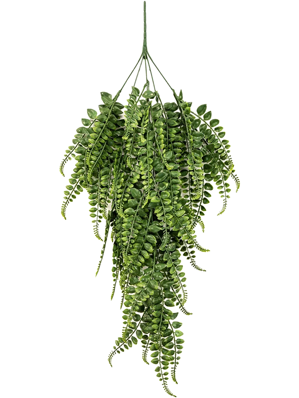 Adianthum Hanging Bush (FR/UV) 80 cm
