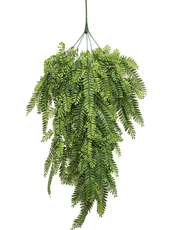 Fern Hanging Bush (FR/UV) 80 cm