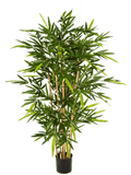 Bamboo Vertakt (FR) 150 cm