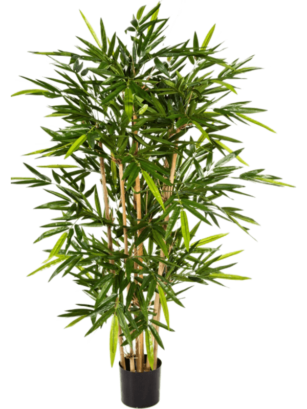 Bamboo Vertakt 180 cm