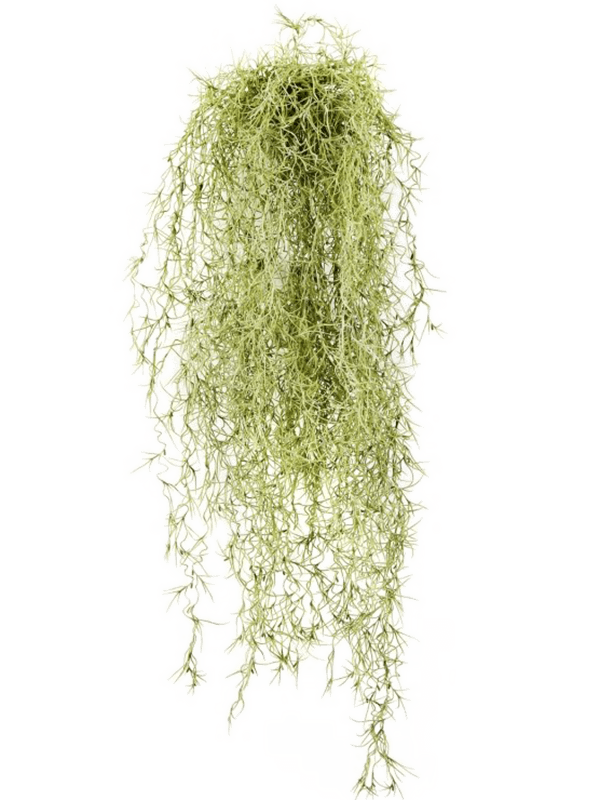 Long Hair Bush Gray (FR) 80 cm