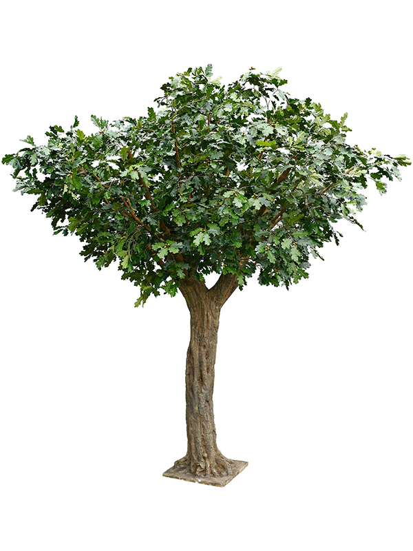Giant Common Oak 12' Tree (FR) 360 cm