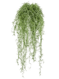Long Hair Bush Green (FR) 80 cm