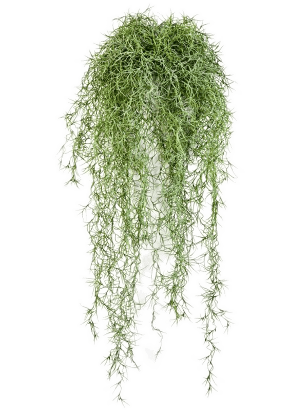 Long Hair Bush Green (FR) 80 cm