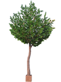 Pinus Tree (FR) 420 cm