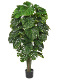 Monstera Bush (FR) 150 cm