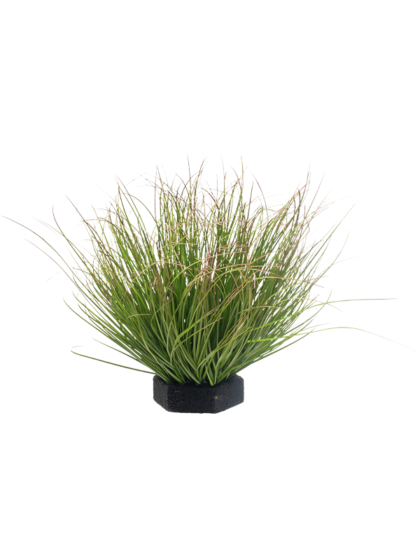 Grass Green Red Tip (FR) 40 cm