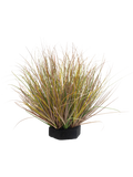 Grass Green Variegated (FR) 40 cm